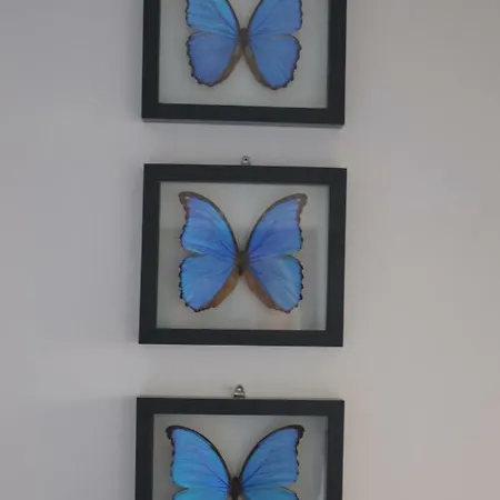 Casa de hóspedes Behind The