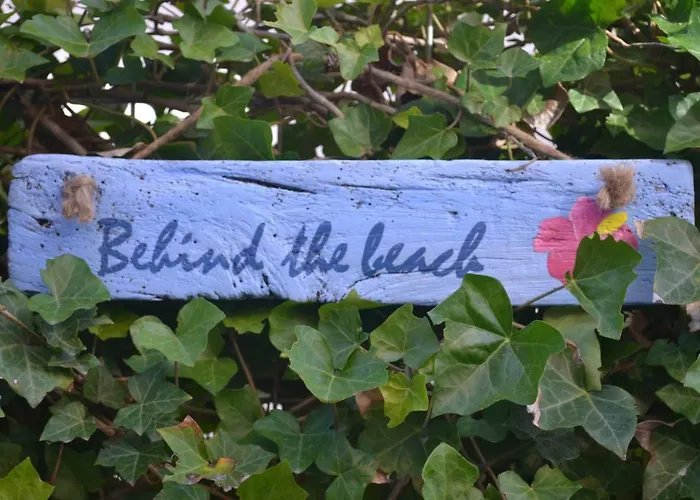 Behind The 잔드보르트