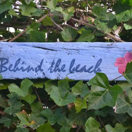 Behind The Зандфорт