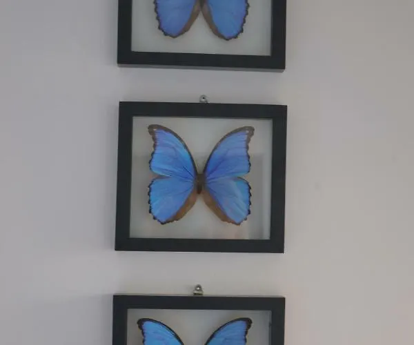 Casa de hóspedes Behind The